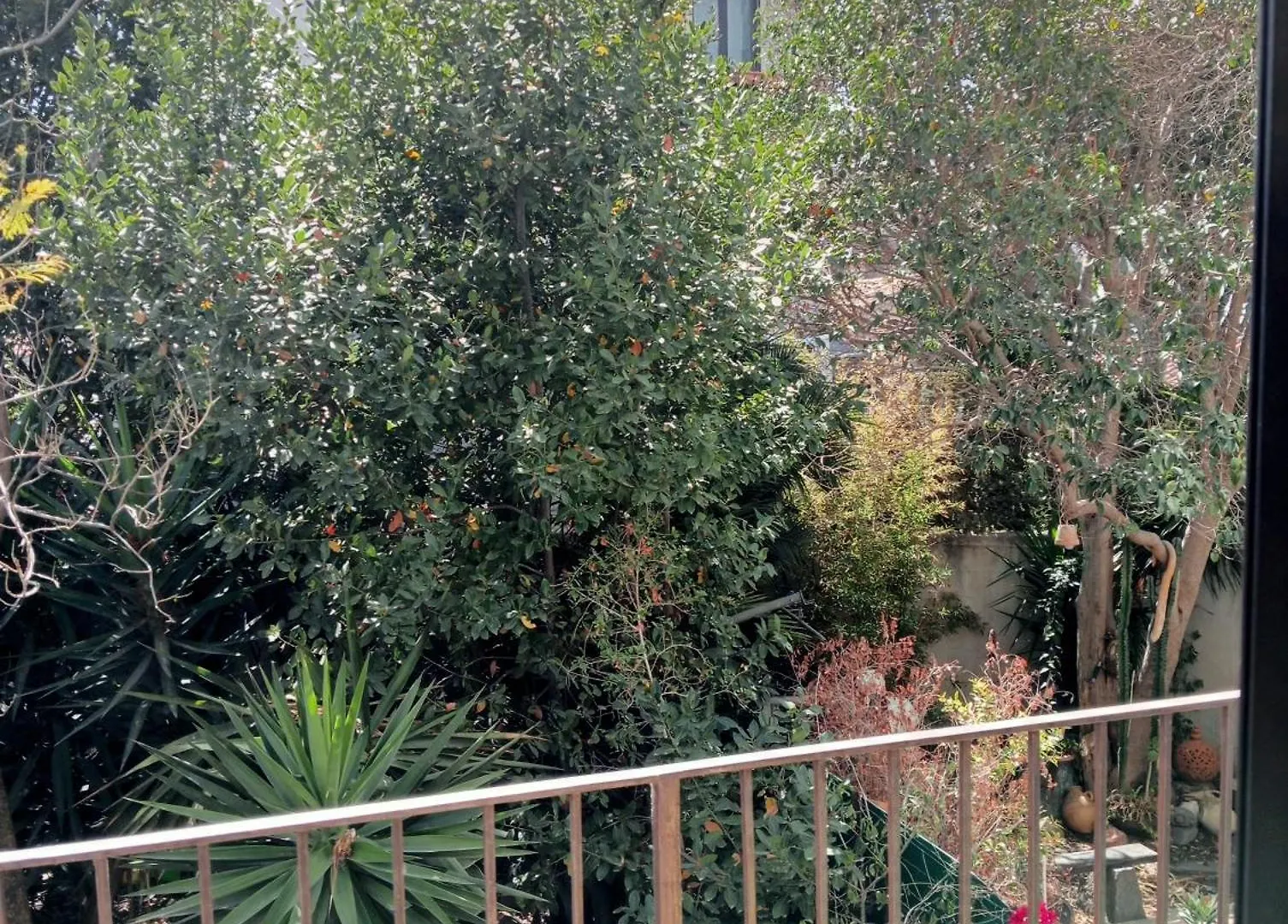 Zurria Home Catania